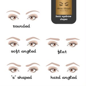 5 basic eyebrow shapes. Various types of eyebrows. 